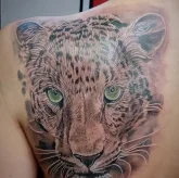 Студия художественной татуировки Tattoo54 фото 5