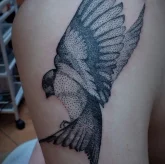 Студия художественной татуировки Tattoo54 фото 7